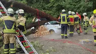 MASSIVER BAUM KRACHT AUF FAHRENDEN SMART - FAHRERIN WIRD EINGEKLEMMT UND LEBENSGEF&Auml;HRLICH VERLETZT
