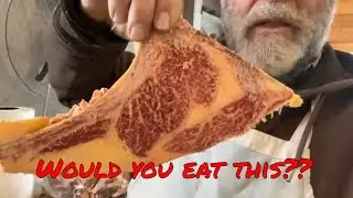 Can you eat an old cow? Adventures on the farm