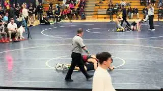 Solon Comet Classic