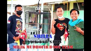 SHILLA Murai Black Tail Sadis|||Milik MUDHOFIR B-005 TEAM Lamongan.