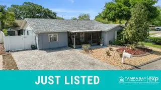 10110 Forest N Ct. Tampa, FL, 33615
