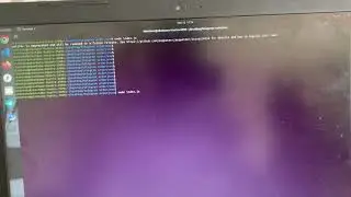Web Automation, Trading Bot, Meta Mask automation