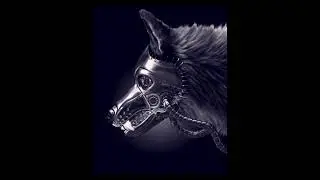 Wolf Bot