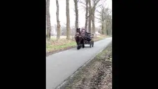 Max vor der Kutsche