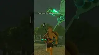 Legend Of Zelda: Death Of Jeremy