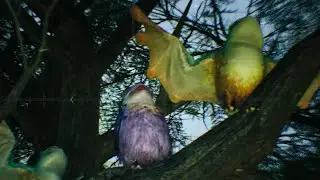 Monster Hunter Wilds Beta: Hymstrigian rare endemic life (again)