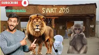 SWAT ZOO Full Tour | WHAT TO SEE Inside The largest Zoo#swatzoo #zoo 