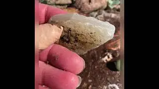 Rock hounding Texas 2021