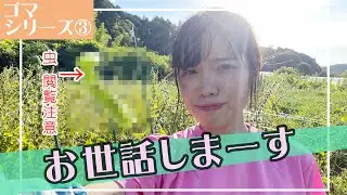 ごまを宇陀市の名産に！お世話＆収穫編！