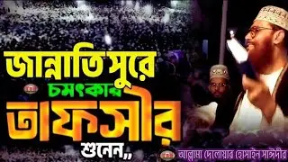 জান্নাতি সুরে চমৎকার তাফসির, দিলওয়ার হোসেন সাঈদী, ইতিহাসের সেরা ওয়াজ, bangla waz