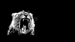 Martin Garrix Ft. Mahala Rai Banda - Animals | Balkan Remix 2020