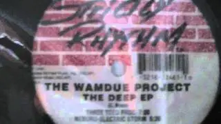 Wamdue Project - Three Toed Frog