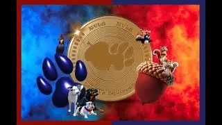 What is $RVLS?