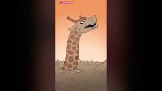 《瘋狂動物園》￼希望大家可以保護動物，不再殺裂￼