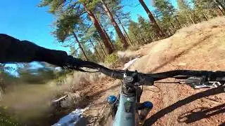 Kingsbury Stinger Trail finish