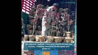 Plantation at Alpha Housing Faisalabad