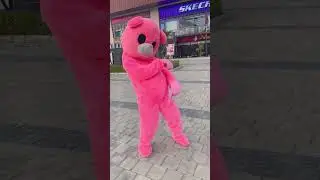 Teddy bear new short video | pink teddy| Mr Comedy Racer | short video | trending | dance video |