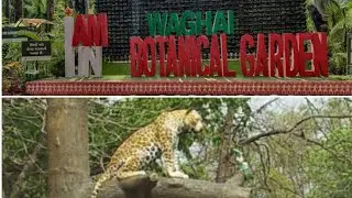 Vansda National Park & Botanical Garden tour #ankitparekh #zoo #animals #plants #garden #xap