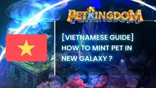 [VIETNAMESE GUIDE] Lesson 1: How to MINT PET in New Galaxy ?