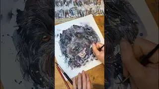 Black dogs are always fun to paint! Here's Rolo's portrait... #dogpainting #dogvideo #watercolour