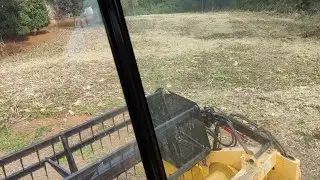 Colhendo milho com plataforma de soja, experi&ecirc;ncia mal sucedida😂