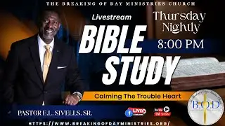 Calming The Trouble Heart bible study series #Determination2026