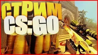 💥Учимся играть 💥Играем в CS:GO💥 Общение с чатиком💥Играем с читами💥 РОЗЫГРЫШ💥