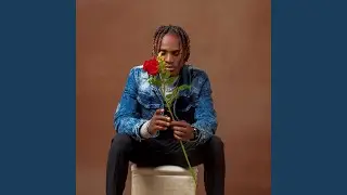 Zambia sugar