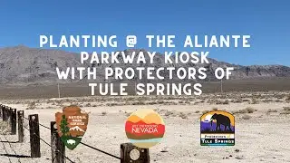 Planting at Aliante Parkway with Protectors of Tule Springs