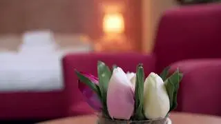 herfstvideo hotel de stoppelberg