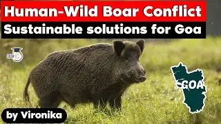 Human Wild Boar conflict in Goa - What animals are vermin in Goa? | Goa Civil Services Exam, Goa PSC