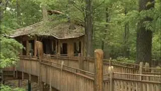 Everybody's Treehouse