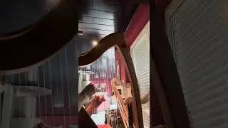 Happy harping&hellip;.. another harp piece Dusty Strings Harfe 