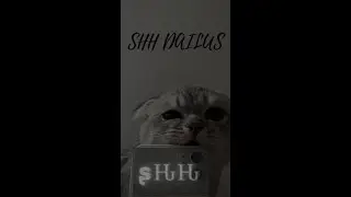 AGAR.IO - SHH CLAN, MY BEST MOMENTS SO FAR