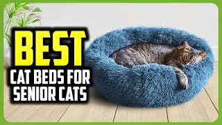 ☑️ Top 5 Best Cat Beds For Senior Cats of 2025 : Who wins in 2025 ?..😍✨