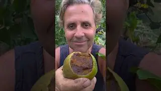Откусывая кусочек ИДЕАЛЬНОГО черного сапота, выращенного в Мельбурне.