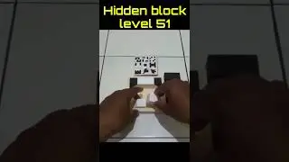 hidden block level 51 #fyp #viralvideo
