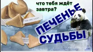 Китайское печенье с предсказаниями и пожеланиями. Лёгкий рецепт для разбавления твоего меню.
