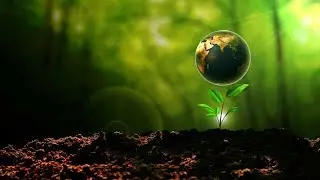 Ecological Concept 3D Earth Spinning with plant stock footage | stock video | Cinefootage