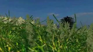 Procedural generation and animation techniques for vegetation