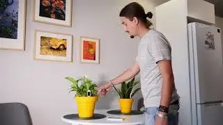 greensens smart Plant sensors