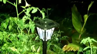 Ночное светодиодное освещение на солнечных батареях для теплицы