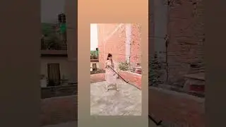 gandhak potash ❤️&zwj;🔥 #shorts #shortvideo #gandhak #gun #vairal