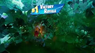 268th WIN IN FORTNITE (SOLOS) W LADY OF CRANES SKIN