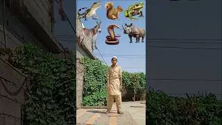 Halal Vs Haram Animals in islam❤️🥰 #shorts #halal #viral #trending #youtubeshorts