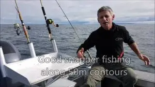 Workups, whales, dolphins, great Autumn fishing