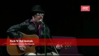 Luke Haines - Live (Acoustic Session 2013)