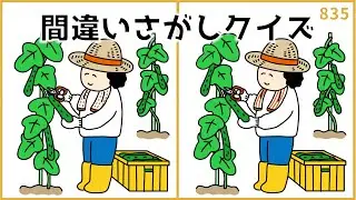 【間違い探しクイズ】夏を感じる脳トレゲーム！認知症予防動画【無料&簡単】#835