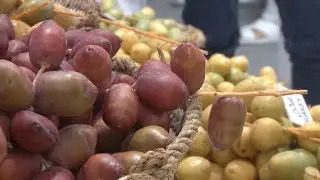 14th Liwa Date Festival Opens in UAE