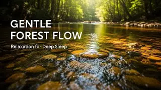 Natural Forest Ambience with Soothing Stream Flow for Study Meditation Inner Peace and Stress Relief